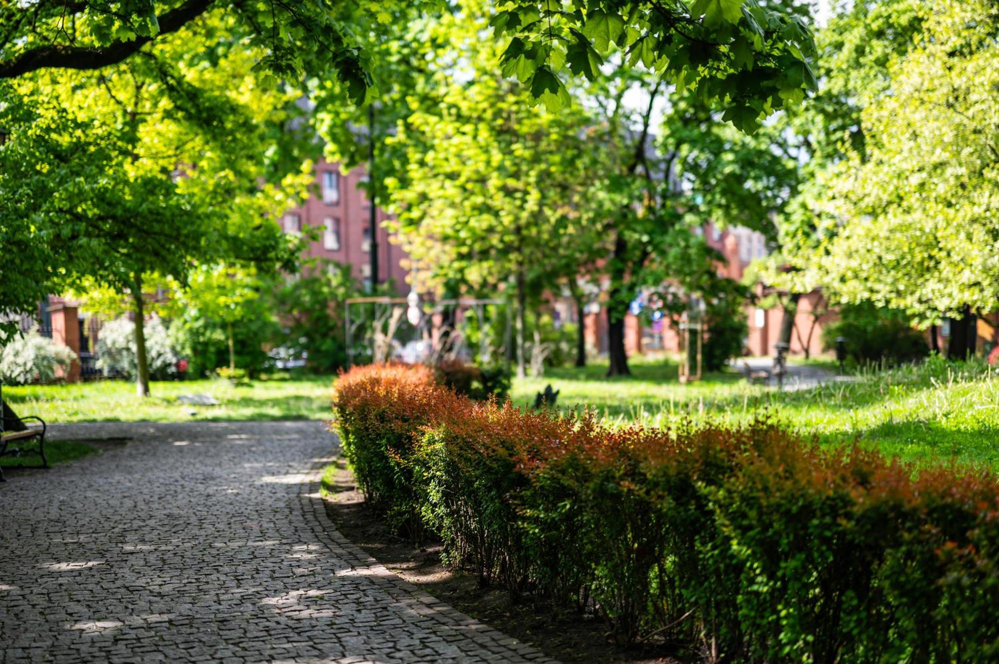 Katania Moxy Te&Am Cracow Lägenhet Kraków Exteriör bild